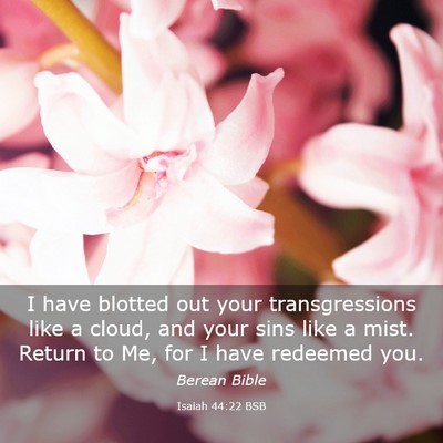 Picture 03 - Isaiah 44:22 BSB - I have blotted out your transgressions like a - Bible Verse Picture