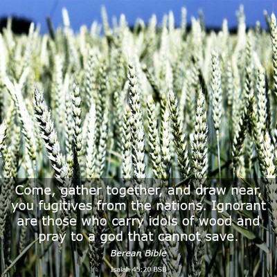 Picture 03 - Isaiah 45:20 BSB - Come, gather together, and draw near, you - Bible Verse Picture