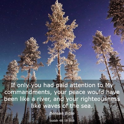 Picture 03 - Isaiah 48:18 BSB - If only you had paid attention to My - Bible Verse Picture