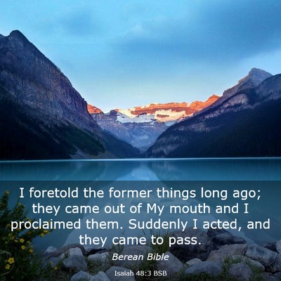 Picture 03 - Isaiah 48:3 BSB - I foretold the former things long ago; they came - Bible Verse Picture