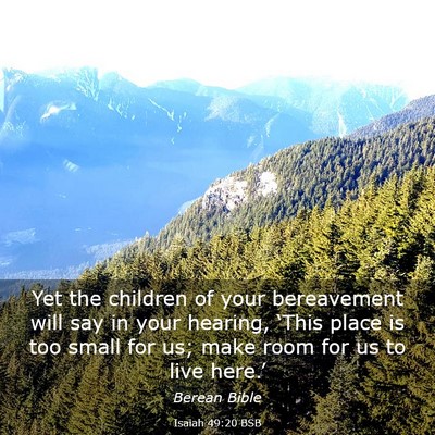 Picture 03 - Isaiah 49:20 BSB - Yet the children of your bereavement will say in - Bible Verse Picture