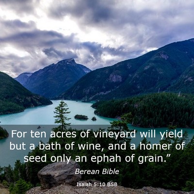 Picture 03 - Isaiah 5:10 BSB - For ten acres of vineyard will yield but a bath - Bible Verse Picture