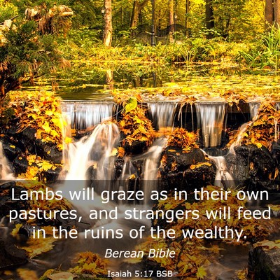 Picture 03 - Isaiah 5:17 BSB - Lambs will graze as in their own pastures, and - Bible Verse Picture