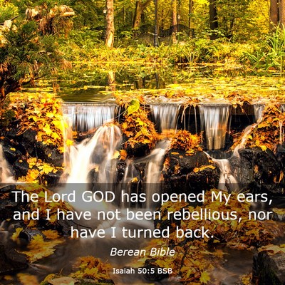 Picture 03 - Isaiah 50:5 BSB - The Lord GOD has opened My ears, and I have not - Bible Verse Picture
