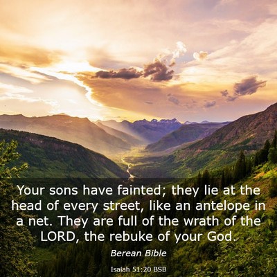 Picture 03 - Isaiah 51:20 BSB - Your sons have fainted; they lie at the head of - Bible Verse Picture