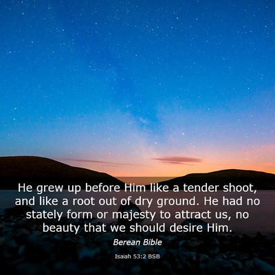 Picture 03 - Isaiah 53:2 BSB - He grew up before Him like a tender shoot, and - Bible Verse Picture