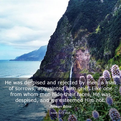 Picture 03 - Isaiah 53:3 BSB - He was despised and rejected by men, a man of - Bible Verse Picture