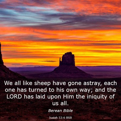 Picture 03 - Isaiah 53:6 BSB - We all like sheep have gone astray, each one has - Bible Verse Picture