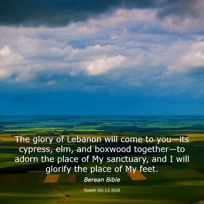 Picture 03 - Isaiah 60:13 BSB - The glory of Lebanon will come to you—its - Bible Verse Picture
