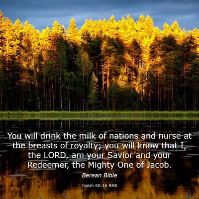 Picture 03 - Isaiah 60:16 BSB - You will drink the milk of nations and nurse at - Bible Verse Picture