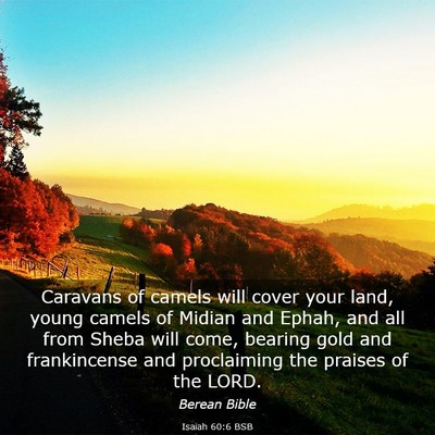 Picture 03 - Isaiah 60:6 BSB - Caravans of camels will cover your land, young - Bible Verse Picture