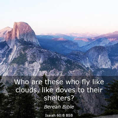 Picture 03 - Isaiah 60:8 BSB - Who are these who fly like clouds, like doves to - Bible Verse Picture