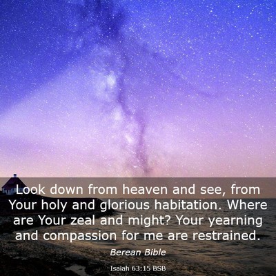 Picture 03 - Isaiah 63:15 BSB - Look down from heaven and see, from Your holy and - Bible Verse Picture