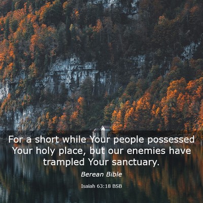 Picture 03 - Isaiah 63:18 BSB - For a short while Your people possessed Your holy - Bible Verse Picture