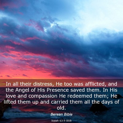 Picture 03 - Isaiah 63:9 BSB - In all their distress, He too was afflicted, and - Bible Verse Picture