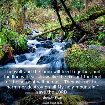 Picture 03 - Isaiah 65:25 BSB - The wolf and the lamb will feed together, and the - Bible Verse Picture