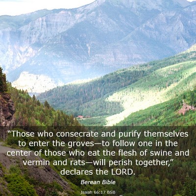 Picture 03 - Isaiah 66:17 BSB - “Those who consecrate and purify themselves to - Bible Verse Picture