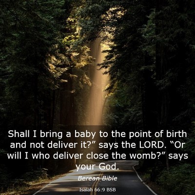 Picture 03 - Isaiah 66:9 BSB - Shall I bring a baby to the point of birth and - Bible Verse Picture