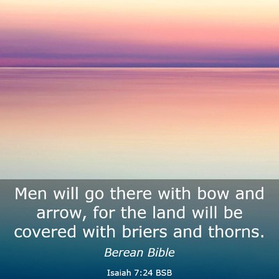Picture 03 - Isaiah 7:24 BSB - Men will go there with bow and arrow, for the - Bible Verse Picture
