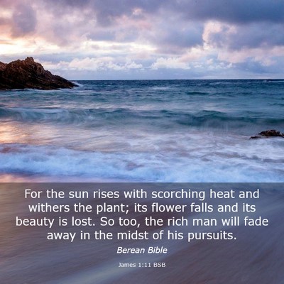 Picture 03 - James 1:11 BSB - For the sun rises with scorching heat and withers - Bible Verse Picture