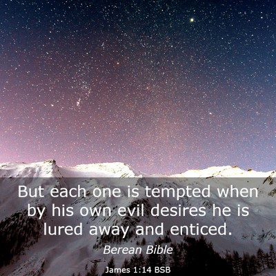 Picture 03 - James 1:14 BSB - But each one is tempted when by his own evil - Bible Verse Picture