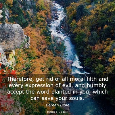 Picture 03 - James 1:21 BSB - Therefore, get rid of all moral filth and every - Bible Verse Picture