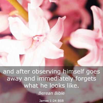 Picture 03 - James 1:24 BSB - and after observing himself goes away and - Bible Verse Picture