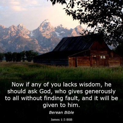 Picture 03 - James 1:5 BSB - Now if any of you lacks wisdom, he should ask - Bible Verse Picture