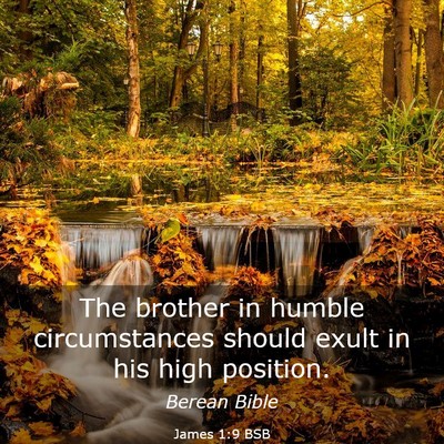 Picture 03 - James 1:9 BSB - The brother in humble circumstances should exult - Bible Verse Picture
