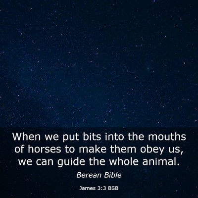 Picture 03 - James 3:3 BSB - When we put bits into the mouths of horses to - Bible Verse Picture