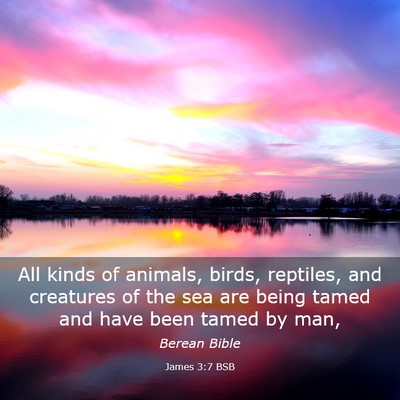 Picture 03 - James 3:7 BSB - All kinds of animals, birds, reptiles, and - Bible Verse Picture