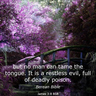 Picture 03 - James 3:8 BSB - but no man can tame the tongue. It is a restless - Bible Verse Picture