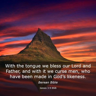 Picture 03 - James 3:9 BSB - With the tongue we bless our Lord and Father, and - Bible Verse Picture
