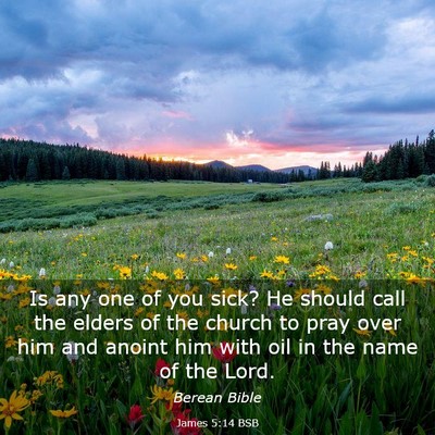 Picture 03 - James 5:14 BSB - Is any one of you sick? He should call the elders - Bible Verse Picture