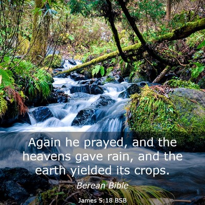 Picture 03 - James 5:18 BSB - Again he prayed, and the heavens gave rain, and - Bible Verse Picture