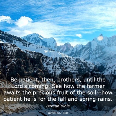 Picture 03 - James 5:7 BSB - Be patient, then, brothers, until the Lord’s - Bible Verse Picture