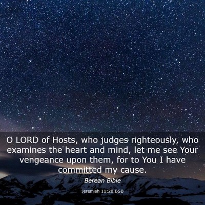 Picture 03 - Jeremiah 11:20 BSB - O LORD of Hosts, who judges righteously, who - Bible Verse Picture
