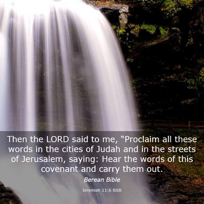 Picture 03 - Jeremiah 11:6 BSB - Then the LORD said to me, “Proclaim all these - Bible Verse Picture