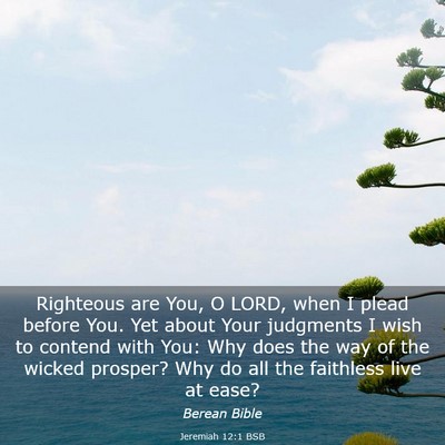 Picture 03 - Jeremiah 12:1 BSB - Righteous are You, O LORD, when I plead before - Bible Verse Picture
