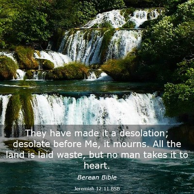 Picture 03 - Jeremiah 12:11 BSB - They have made it a desolation; desolate before - Bible Verse Picture