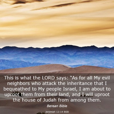 Picture 03 - Jeremiah 12:14 BSB - This is what the LORD says: “As for all My evil - Bible Verse Picture