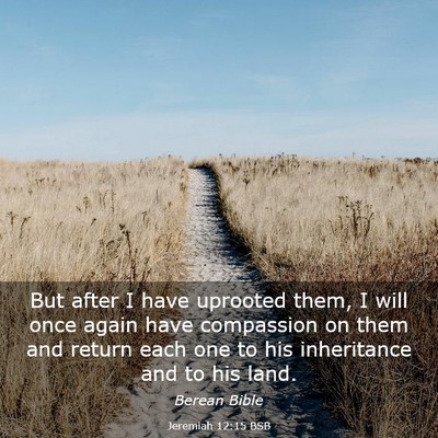 Picture 03 - Jeremiah 12:15 BSB - But after I have uprooted them, I will once again - Bible Verse Picture