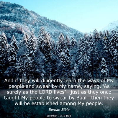 Picture 03 - Jeremiah 12:16 BSB - And if they will diligently learn the ways of My - Bible Verse Picture
