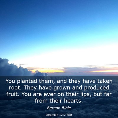 Picture 03 - Jeremiah 12:2 BSB - You planted them, and they have taken root. They - Bible Verse Picture