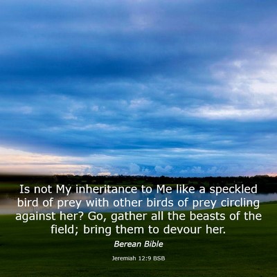 Picture 03 - Jeremiah 12:9 BSB - Is not My inheritance to Me like a speckled bird - Bible Verse Picture
