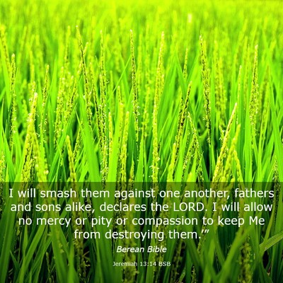 Picture 03 - Jeremiah 13:14 BSB - I will smash them against one another, fathers - Bible Verse Picture