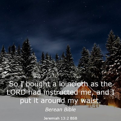 Picture 03 - Jeremiah 13:2 BSB - So I bought a loincloth as the LORD had - Bible Verse Picture