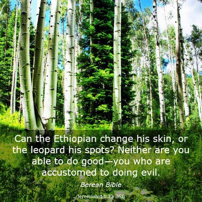 Picture 03 - Jeremiah 13:23 BSB - Can the Ethiopian change his skin, or the leopard - Bible Verse Picture