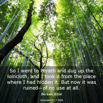 Picture 03 - Jeremiah 13:7 BSB - So I went to Perath and dug up the loincloth, and - Bible Verse Picture
