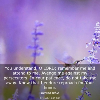 Picture 03 - Jeremiah 15:15 BSB - You understand, O LORD; remember me and attend to - Bible Verse Picture